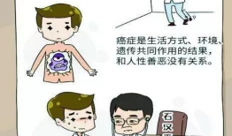 癌症漫画,漫画中的癌症抗争与生活启示