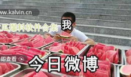 热门吃瓜爆料视频大全集,热门吃瓜爆料视频大盘点
