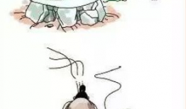 百谷漫画,描绘多彩生活的艺术画卷