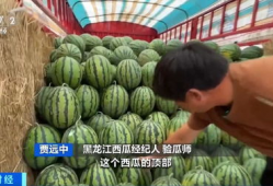 吃瓜验证网,吃瓜验证网深度解析