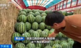 吃瓜验证网,吃瓜验证网深度解析