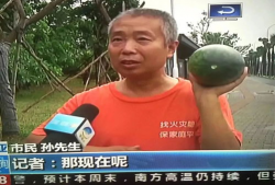 新华网吃瓜群众事件,网络舆论场上的风波与反思
