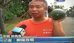 新华网吃瓜群众事件,网络舆论场上的风波与反思