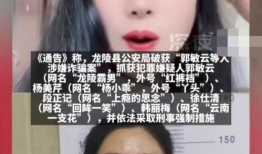 吃瓜网红被骗事件,揭秘网络诈骗背后的真相
