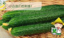 66吃瓜网-免费吃瓜,畅享免费吃瓜盛宴，揭秘娱乐圈幕后故事