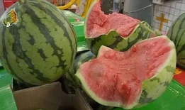怎么搜最新吃瓜网,如何轻松搜罗最新吃瓜资讯，畅享网络热点盛宴