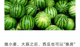 吃瓜网在线吃瓜免费观看网站,在线吃瓜新体验
