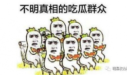 吃瓜群众网红视频大全,网红视频大全盘点