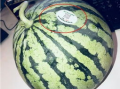 山西太原网红吃瓜,揭秘山西美食圈的热辣故事