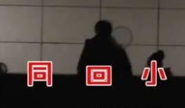 吃瓜被网暴小说后续,网暴背后的真相与反思