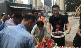 吃瓜官网北京朝阳,吃瓜官网带你探秘京城美食热点