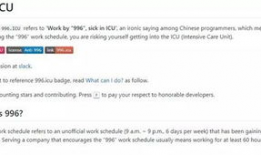 吃瓜网996,揭秘互联网公司加班真相