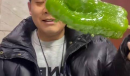 河津网红吃瓜事件视频,揭秘网络热议背后的真相
