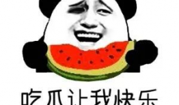 吃瓜八卦网,吃瓜八卦网带你探秘明星幕后故事