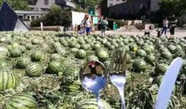 吃瓜官网北京朝阳,吃瓜官网带你探秘京城美食热点